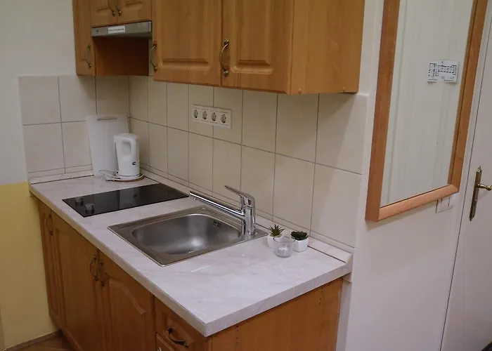 公寓式酒店 盖斯特瑞斯特一室公寓酒店 布达佩斯